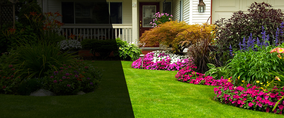 Atlanta Landscapers