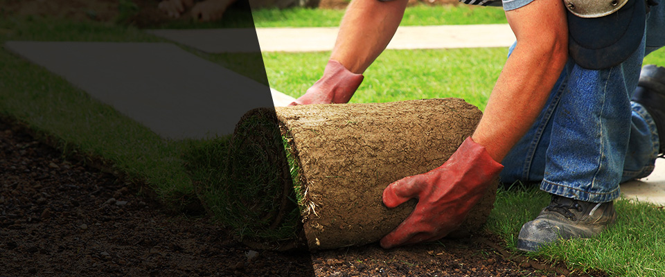 Atlanta Landscapers